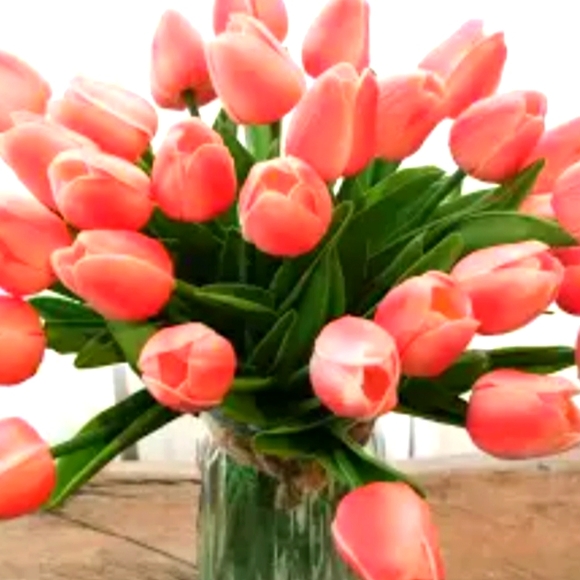 CHRISTMAS IN JULY - Picture 3 of 13